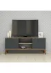 Ferniso Mobilya 120 cm Tv Ünitesi Çam-Antrasit resmi